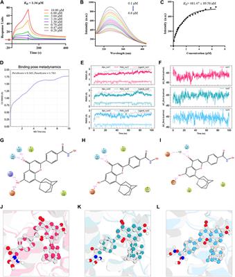 Inhibition of Nur77 expression and translocation by compound B6 reduces ER stress and alleviates cigarette smoke-induced inflammation and injury in bronchial epithelial cells